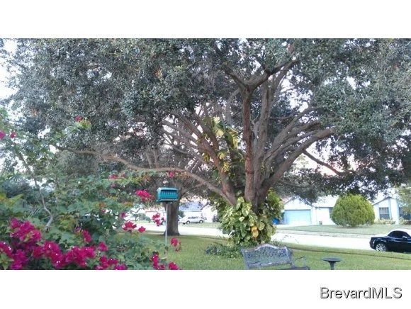 Photo of 821 Pine Shadows