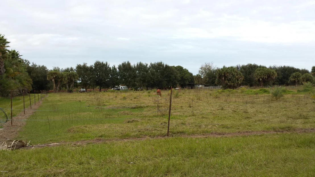 Photo of 6767 Laurel Oak Avenue