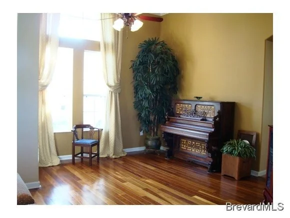 Photo of 3623 Carambola