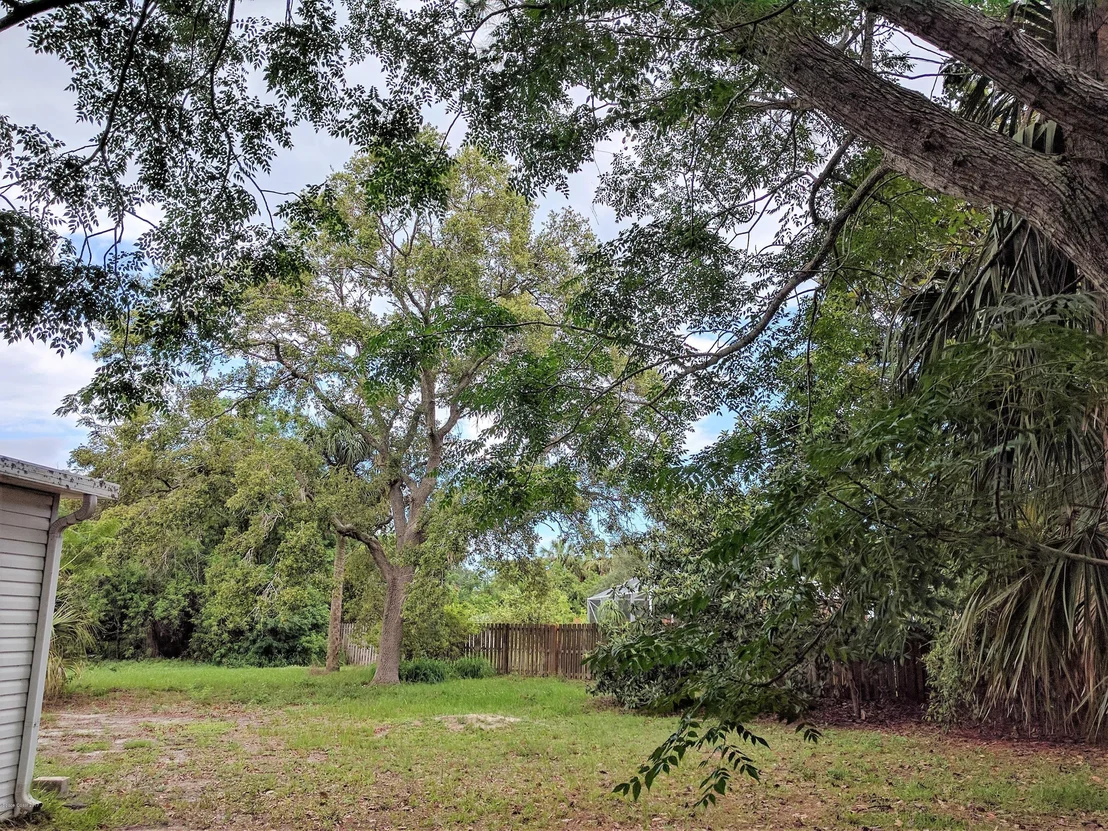 Photo of 53 Nina Jean Drive
