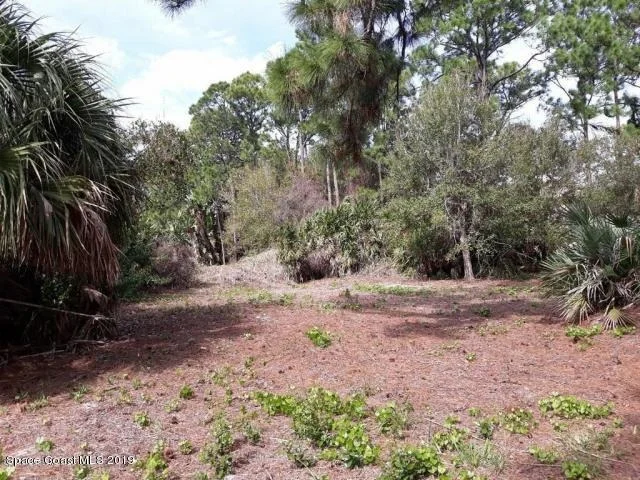 Photo of 3520 Reef Place