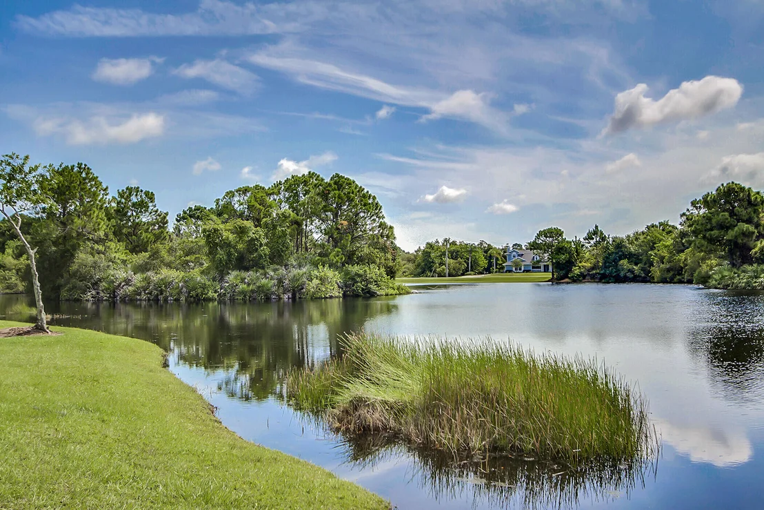 Photo of 4381 Ligustrum Drive