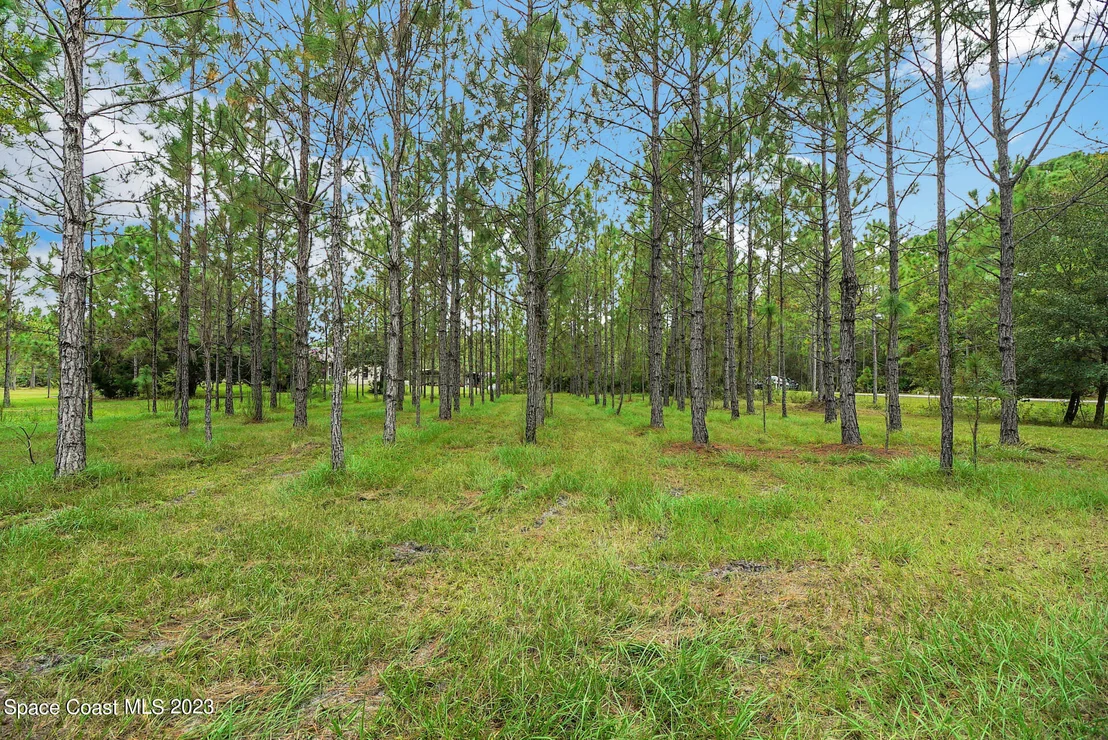 Photo of 1001 Shellcracker Road