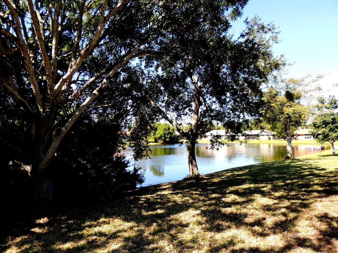 Photo of 170 Palm Circle