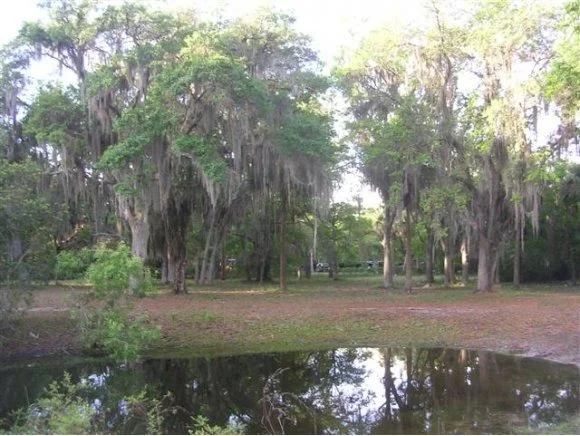 Photo of 0 Turtle Mound