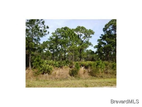 Photo of 4142 Redbay