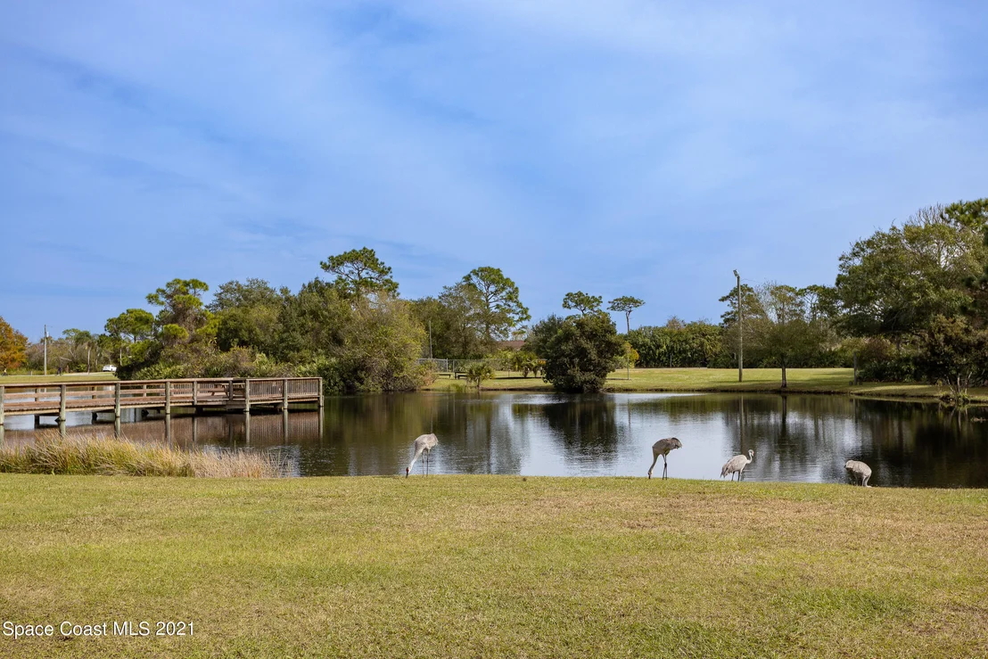 Photo of 4271 Turtle Mound Road