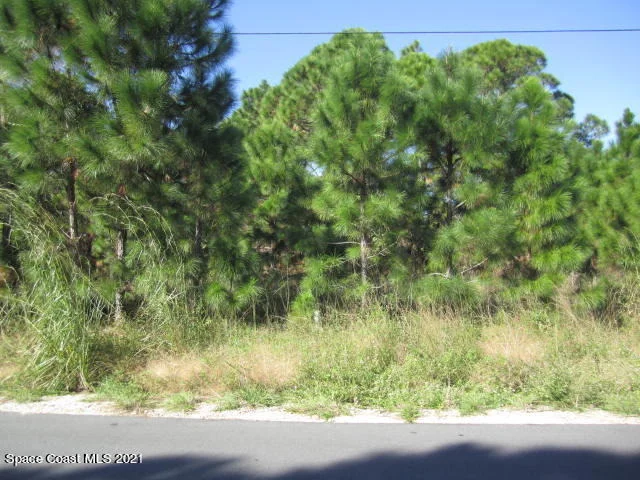 Photo of 2969 Fig Road SE
