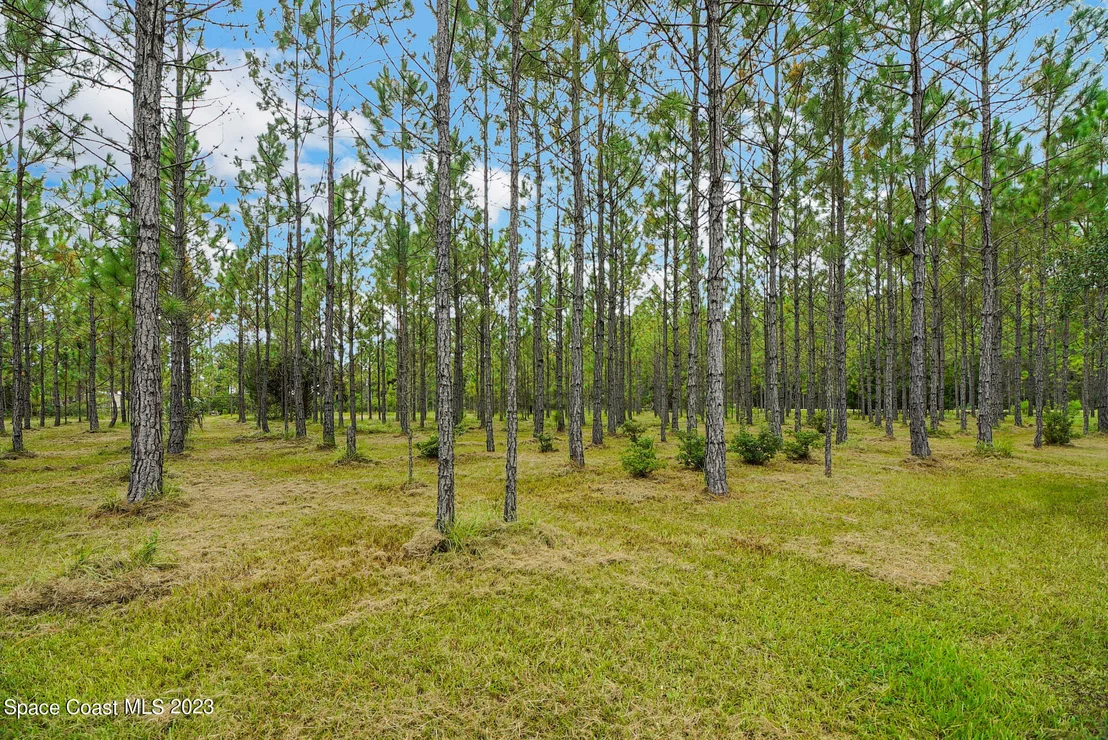 Photo of 1001 Shellcracker Road