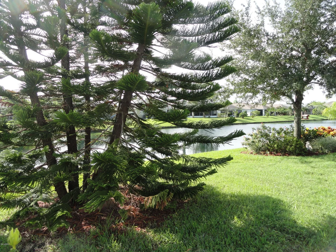 Photo of 1331 Berryhill Drive