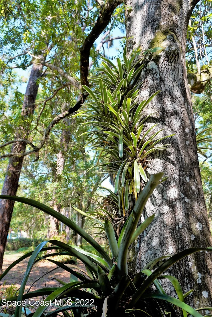 Photo of 686 Hammock Road