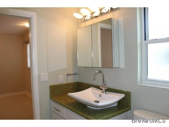 Photo of 14 Azalea