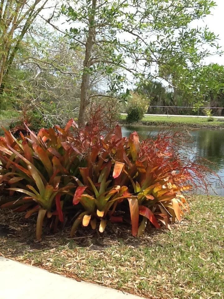 Photo of 3230 Leghorn Road