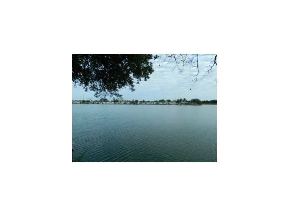 Photo of 3903 Camphor