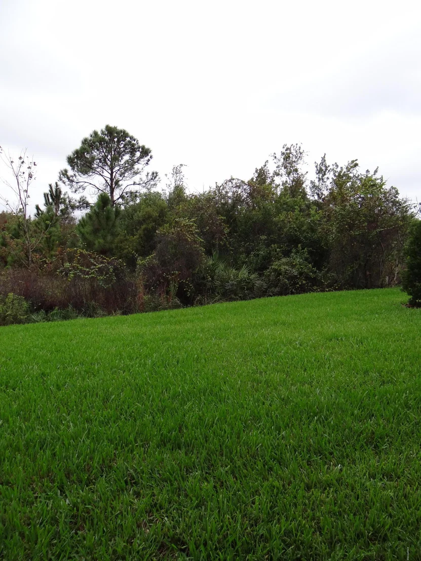 Photo of 2825 Jolena Drive