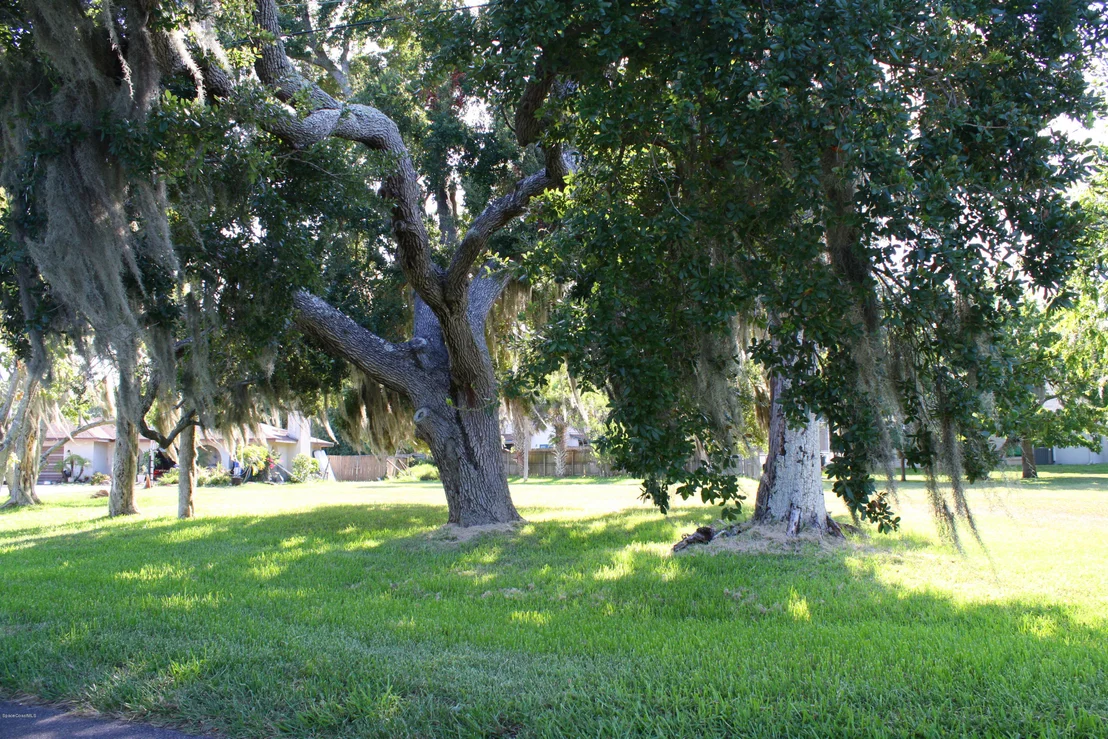 Photo of 3412 N Indian River Drive