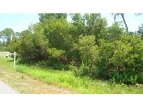 Photo of 3250 Pheasant