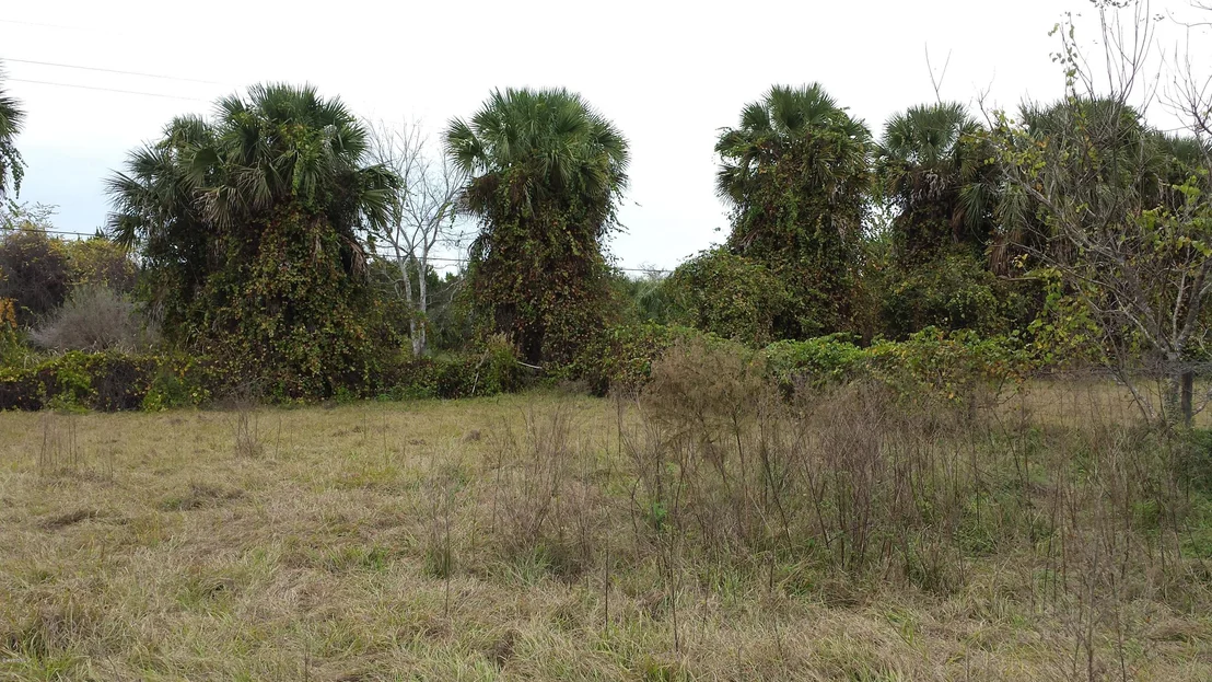 Photo of 6767 Laurel Oak Avenue