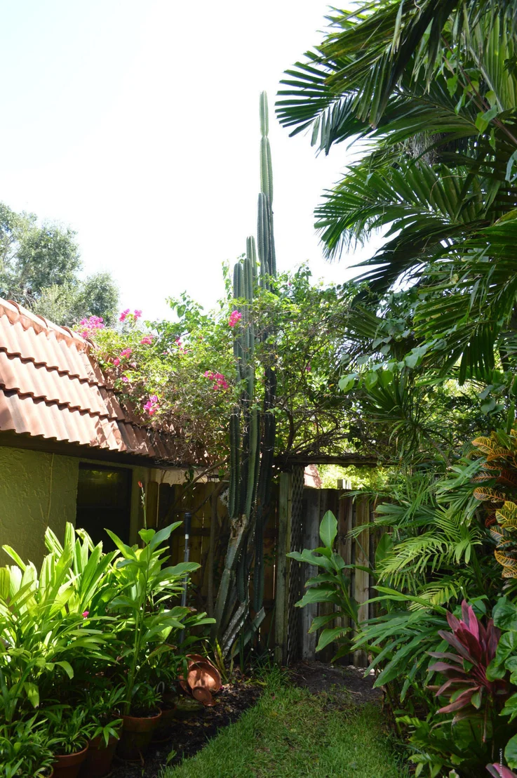 Photo of 214 Rose Drive