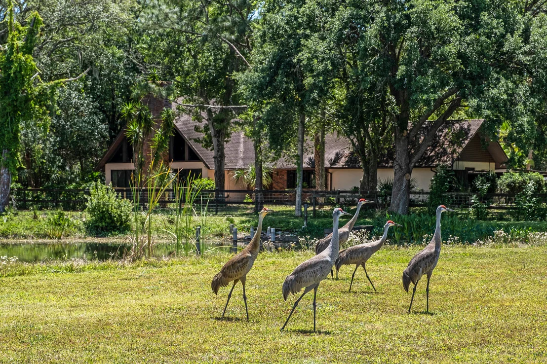Photo of 5115 Ranchland Road