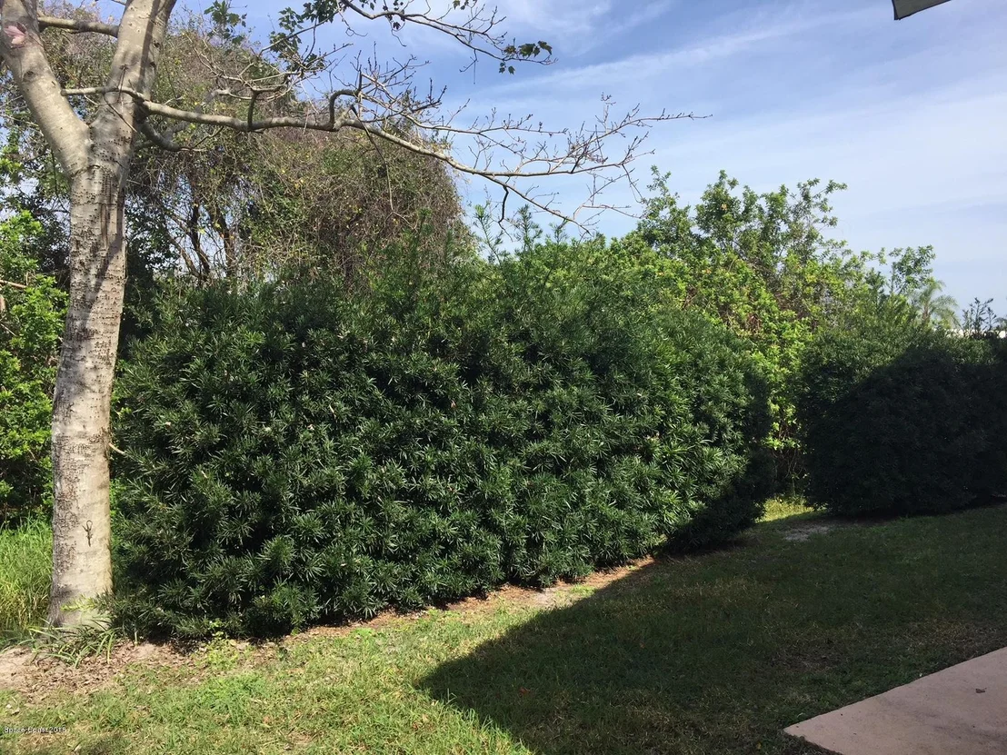 Photo of 834 Wateroak Drive NE