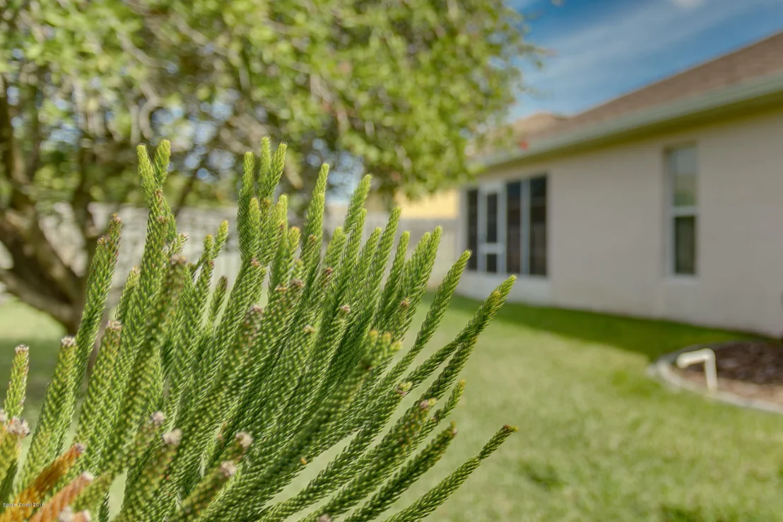 Photo of 1768 Sun Gazer Drive