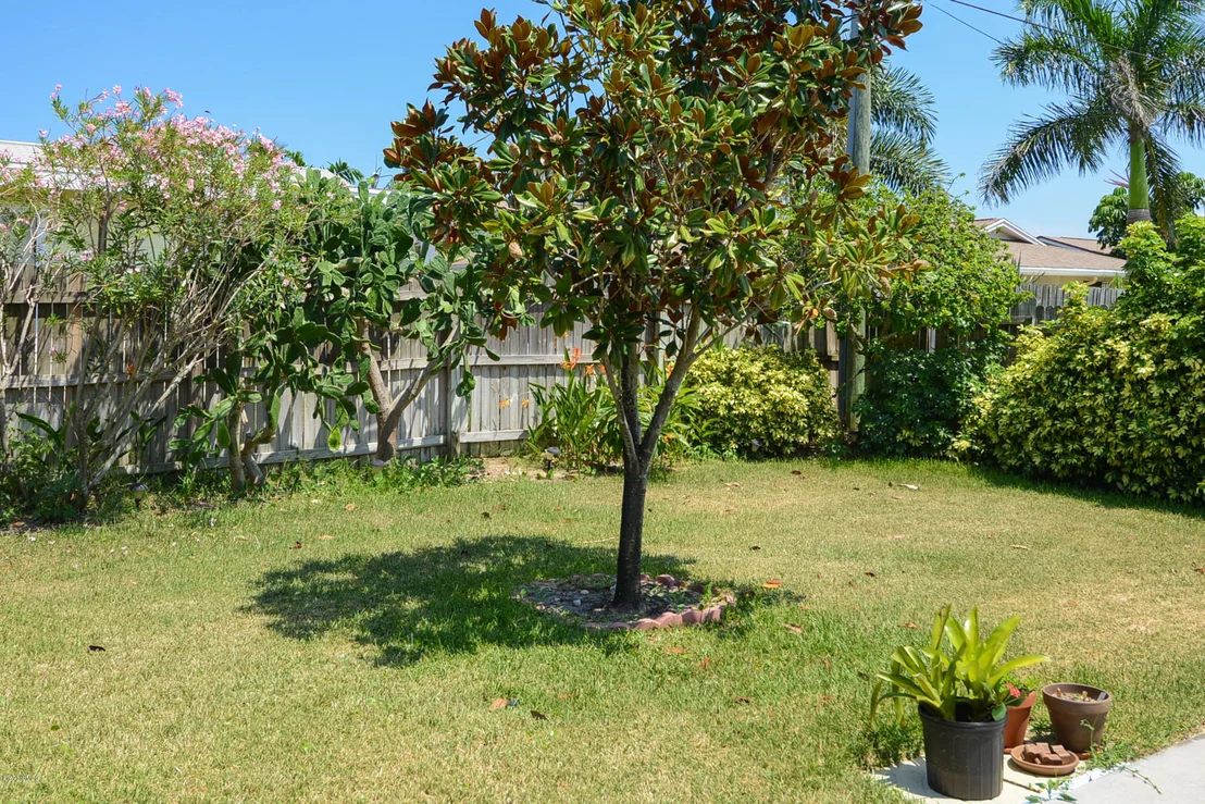 Photo of 731 Verbenia Drive