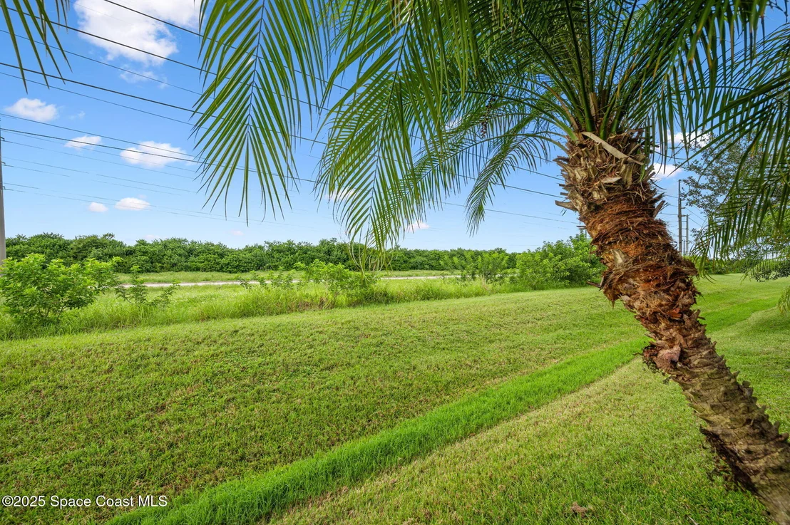 Photo of 3664 Gurrero Drive