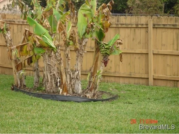 Photo of 988 Sycamore