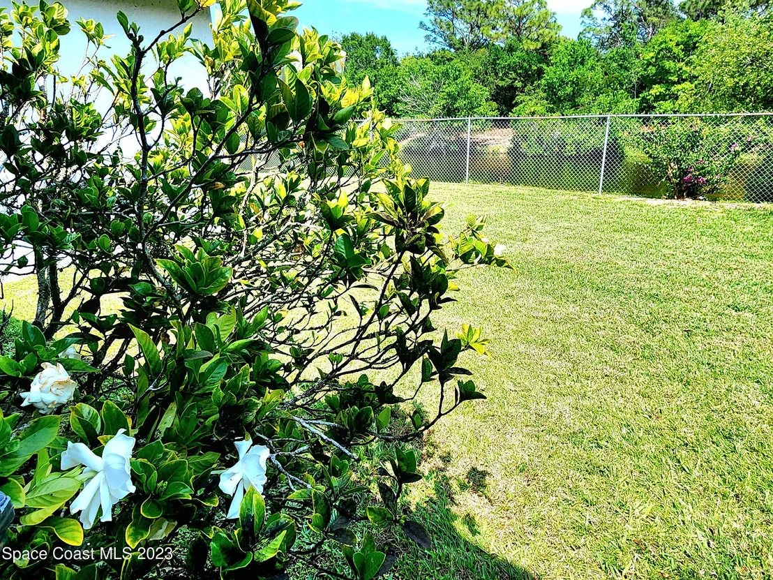 Photo of 2777 Nobility Avenue