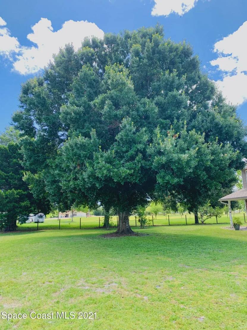 Photo of 3155 Lionel Road