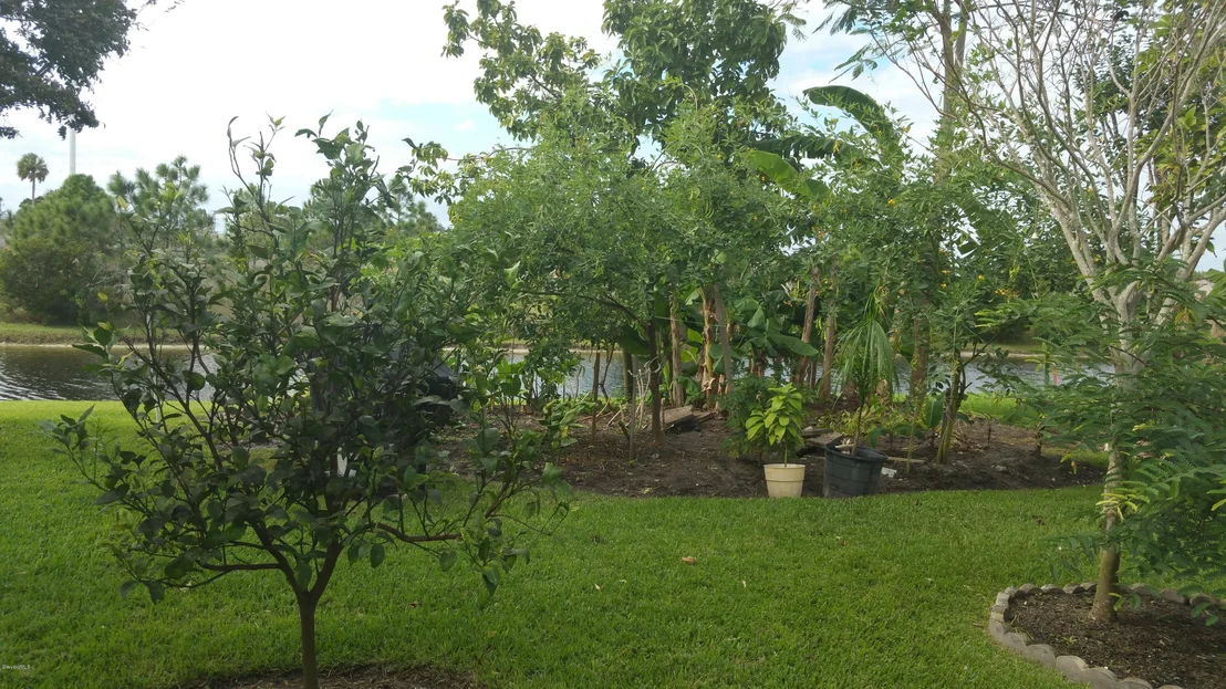 Photo of 3150 Forest Creek Drive