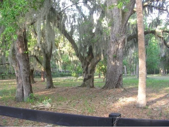 Photo of 0 Turtle Mound