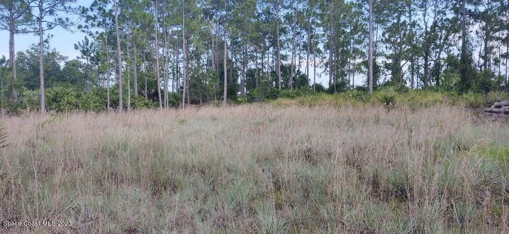 Photo of 7194 Orchid Tree Drive