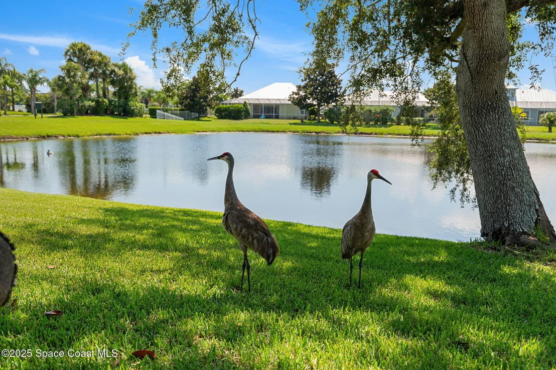 Photo of 1480 Cape Sable Drive