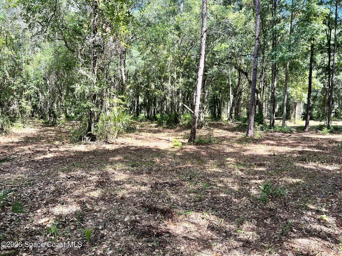 Photo of 1239,41,43 County Road 309