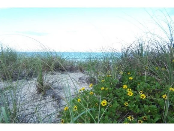 Photo of 6945 Highway A1a