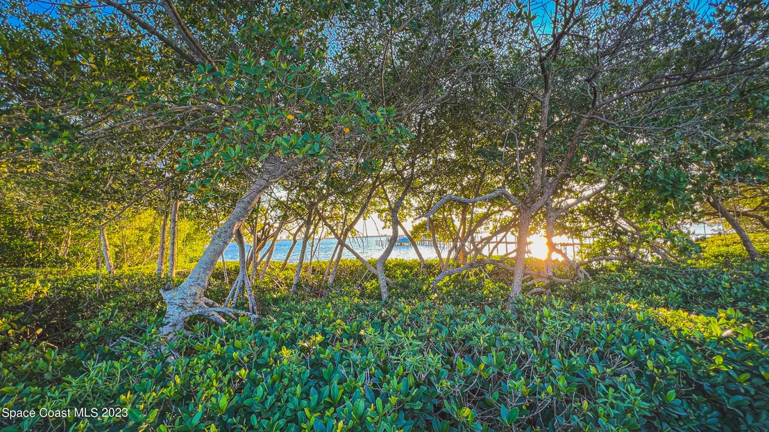 Photo of 5592 Beach Elder Way