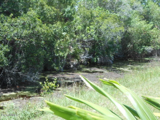 Photo of 3265 Fairview Drive