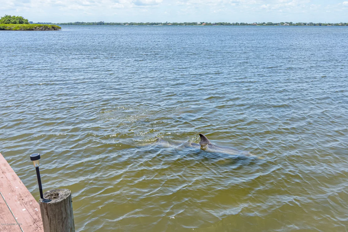 Photo of 454 Lanternback Island Drive