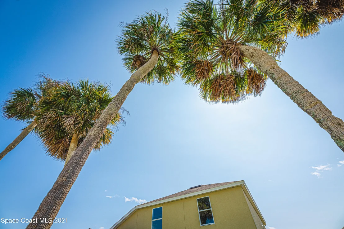 Photo of 3681 Joslin Way