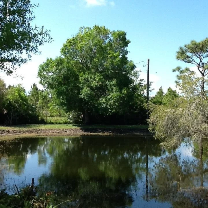 Photo of 3230 Leghorn Road