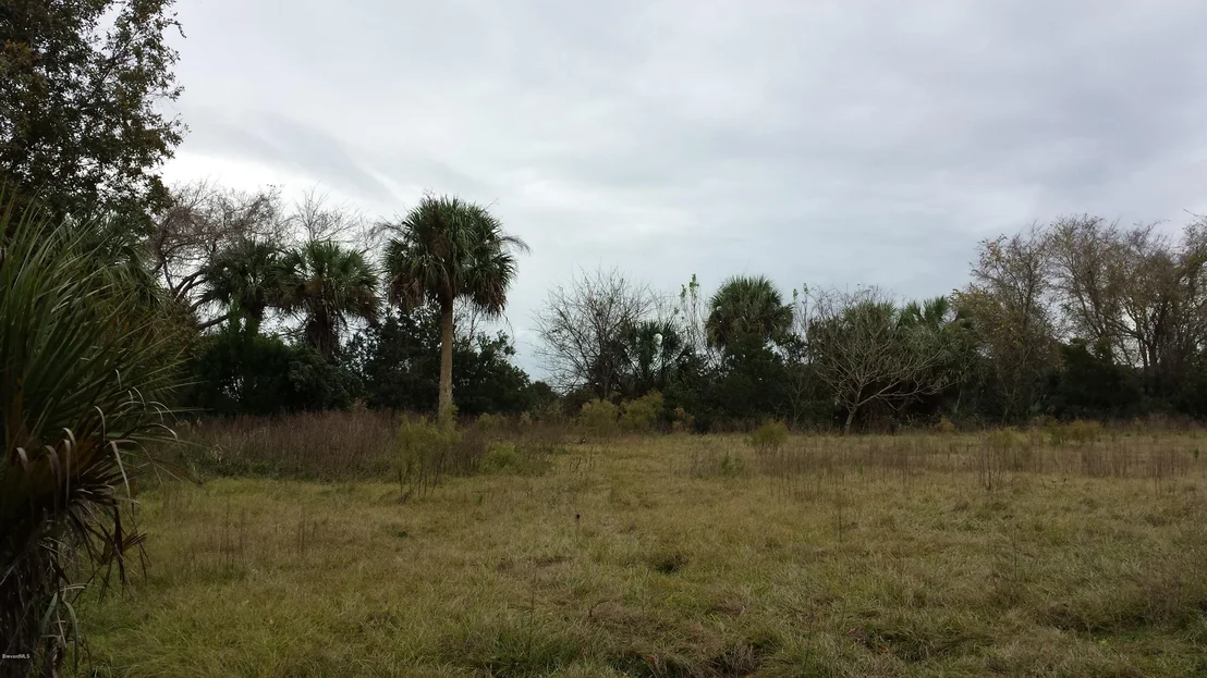 Photo of 6767 Laurel Oak Avenue