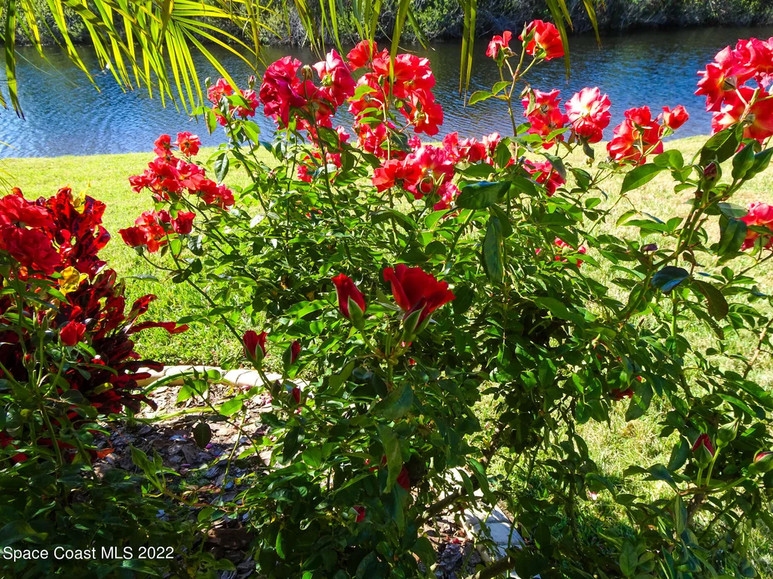 Photo of 1454 Boca Rio Drive