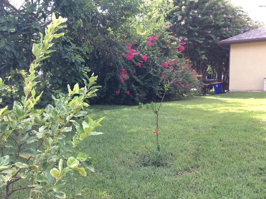 Photo of 13 River Ridge Drive