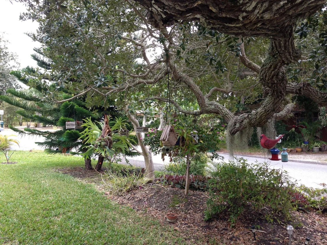 Photo of 138 Cardinal Drive
