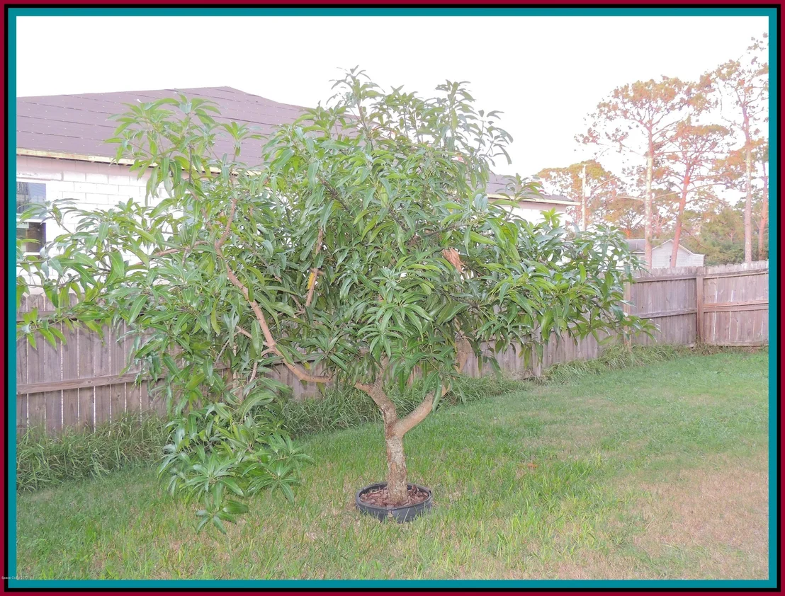 Photo of 5970 Sunflower Drive