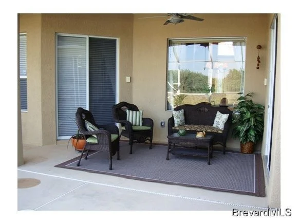Photo of 3623 Carambola