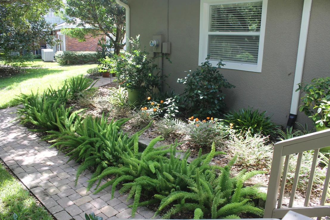 Photo of 3212 Buckingham Lane
