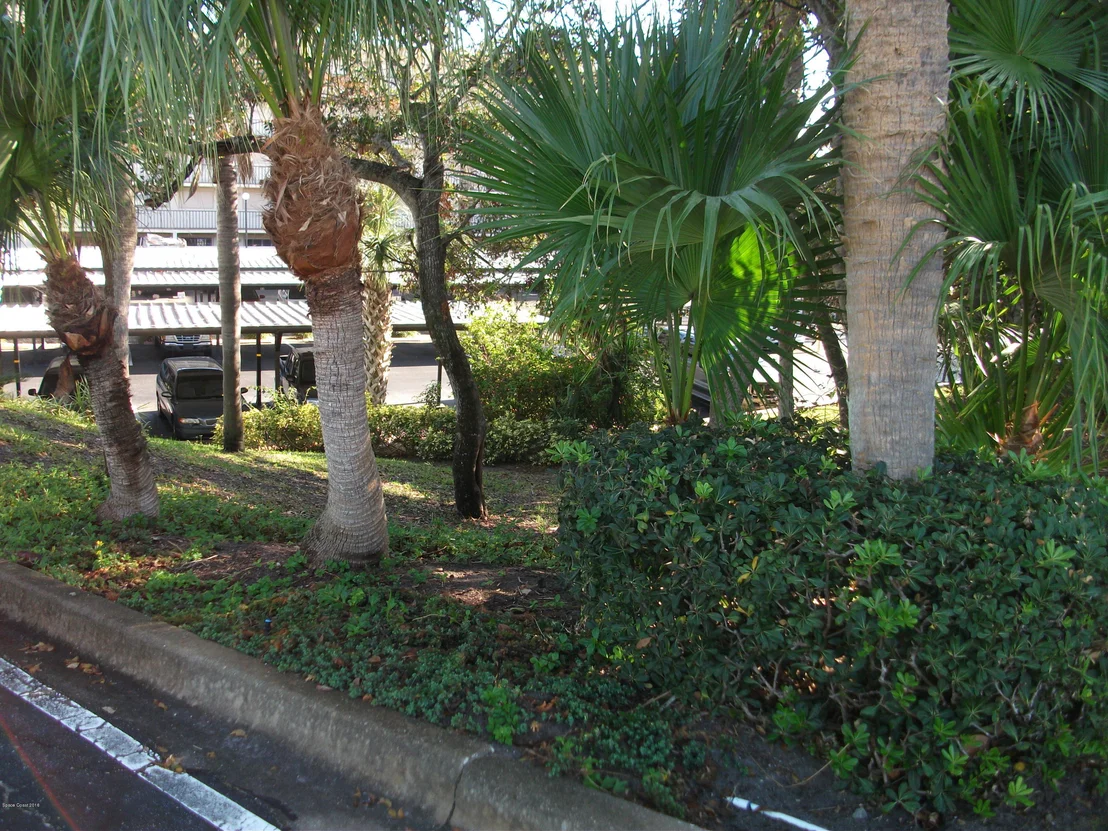 Photo of Unit 305 at 3901 Dixie Highway NE